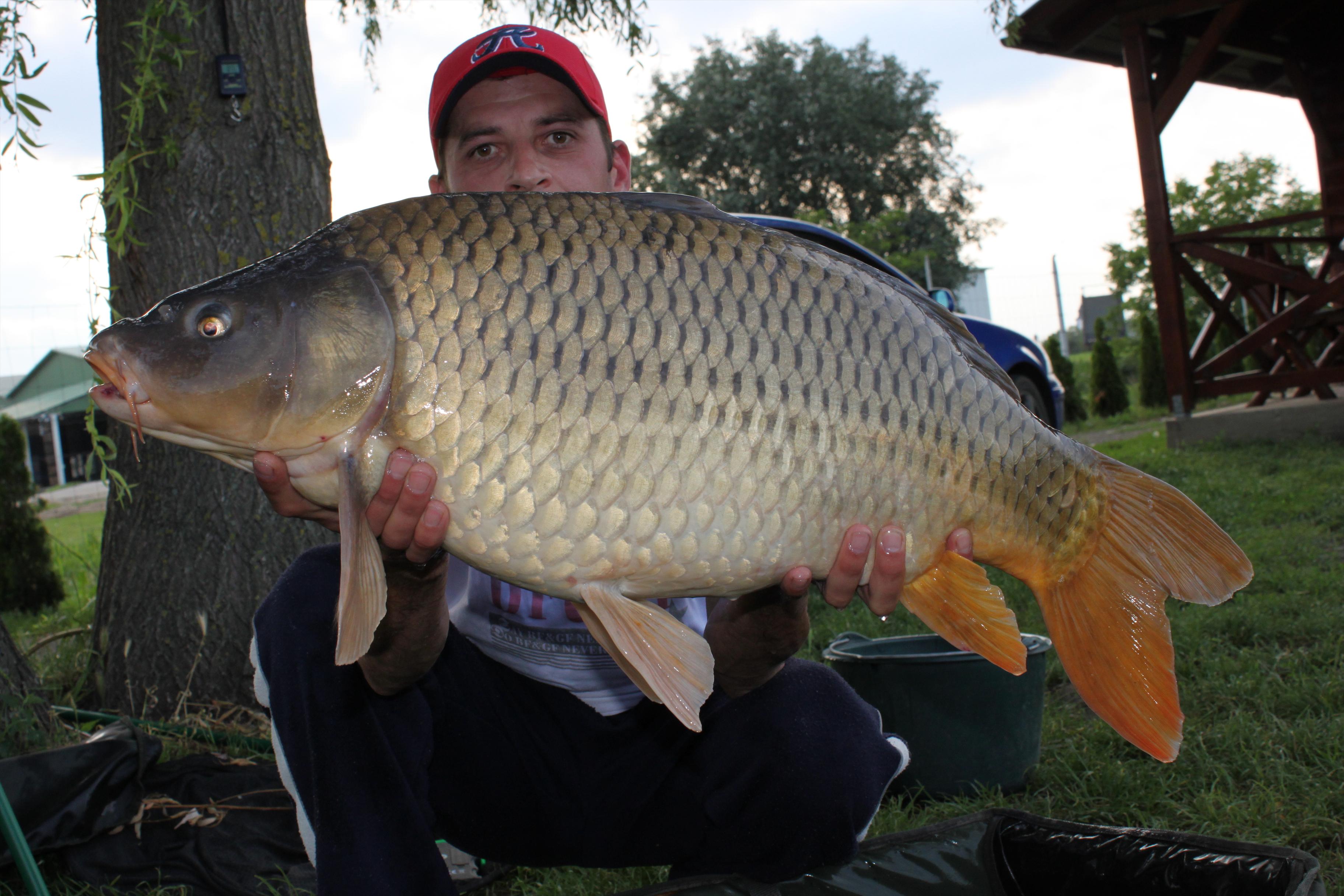 Capturi 2012 - IMG_0776.JPG